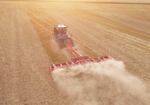 Déchaumeurs à disques traînés repliables + 8 m Pöttinger Terradisc T